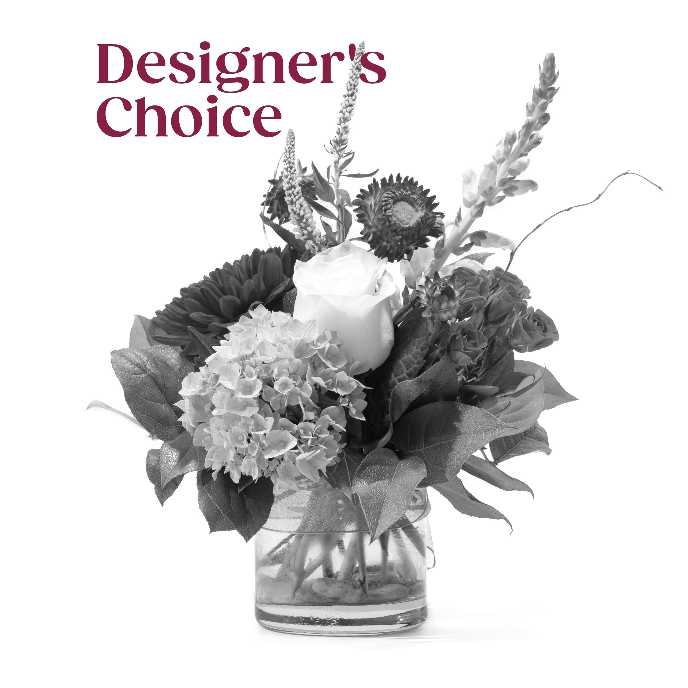 Designer's Choice