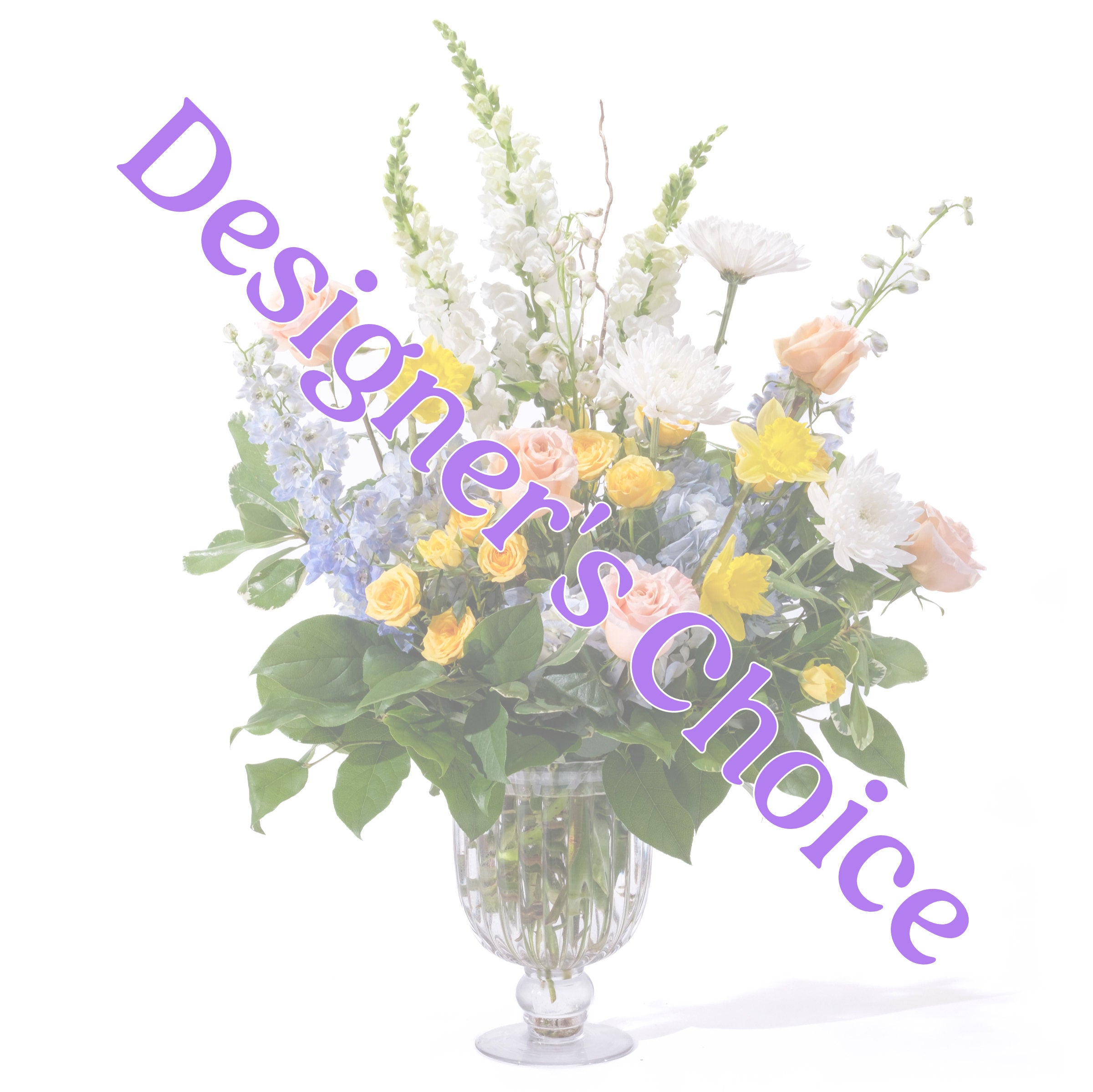 The Angelou - Designer's Choice