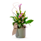 Calla Lilies