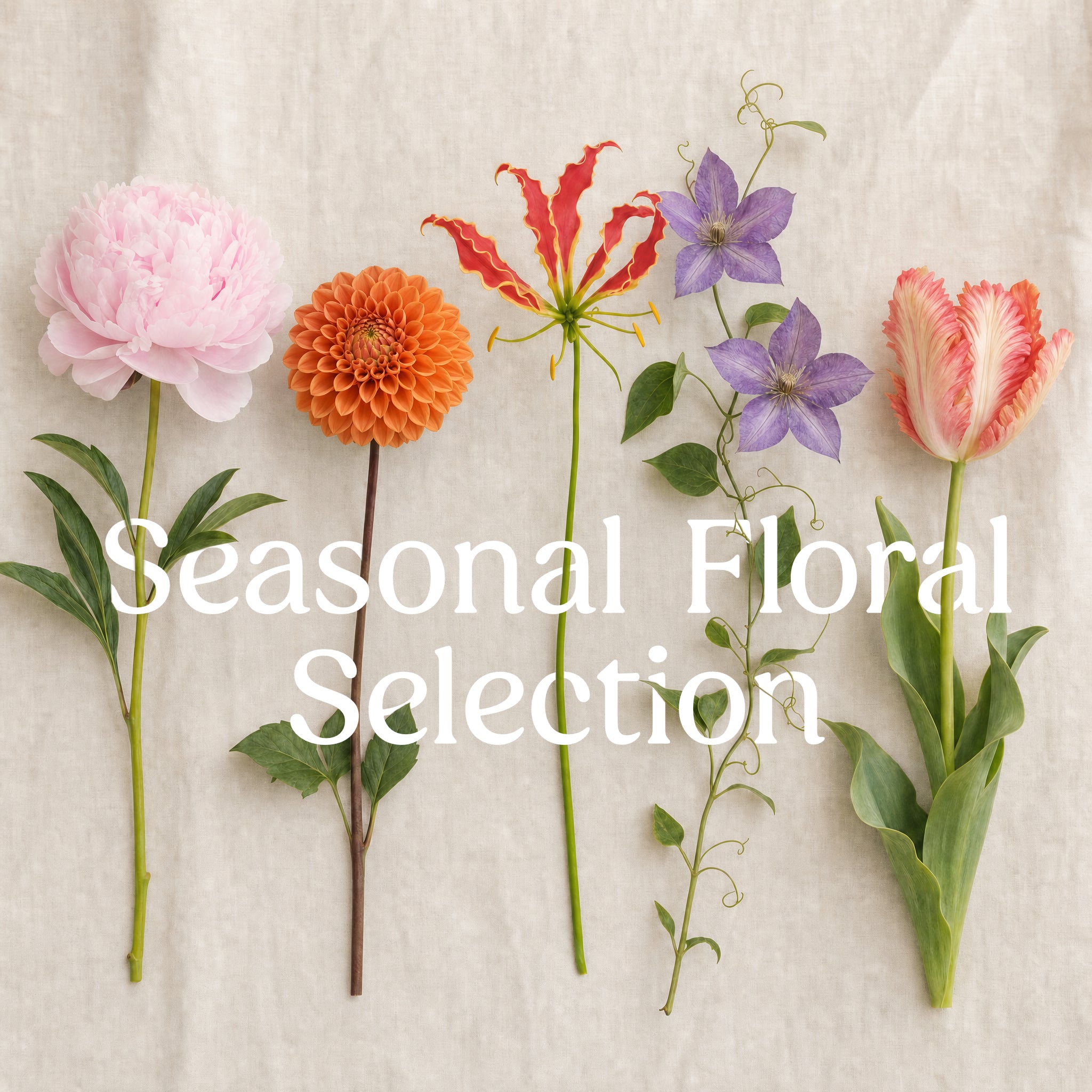 Seasonal Floral Selection - 6" Cylinder
