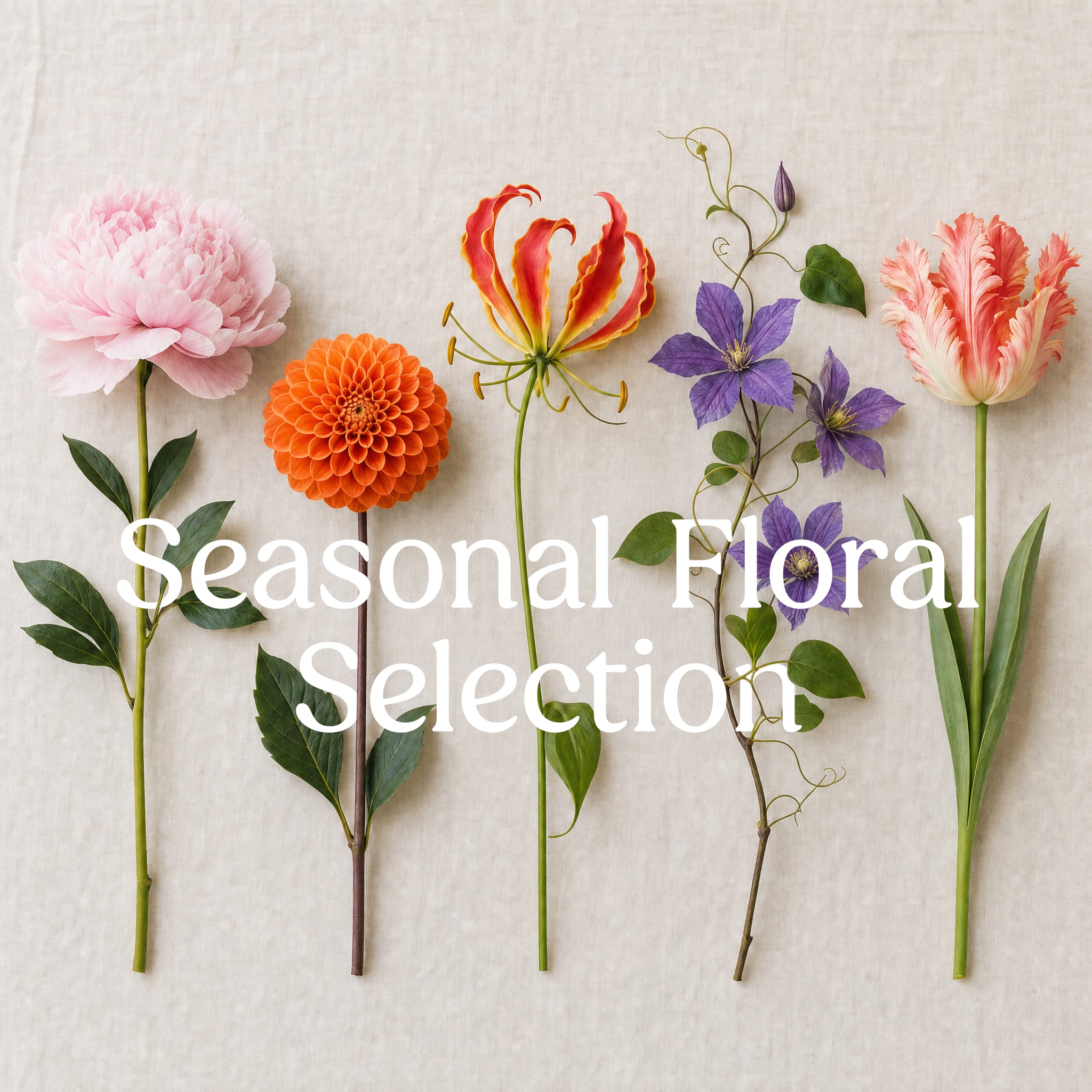 Seasonal Floral Selection - 5x10" Cylinder