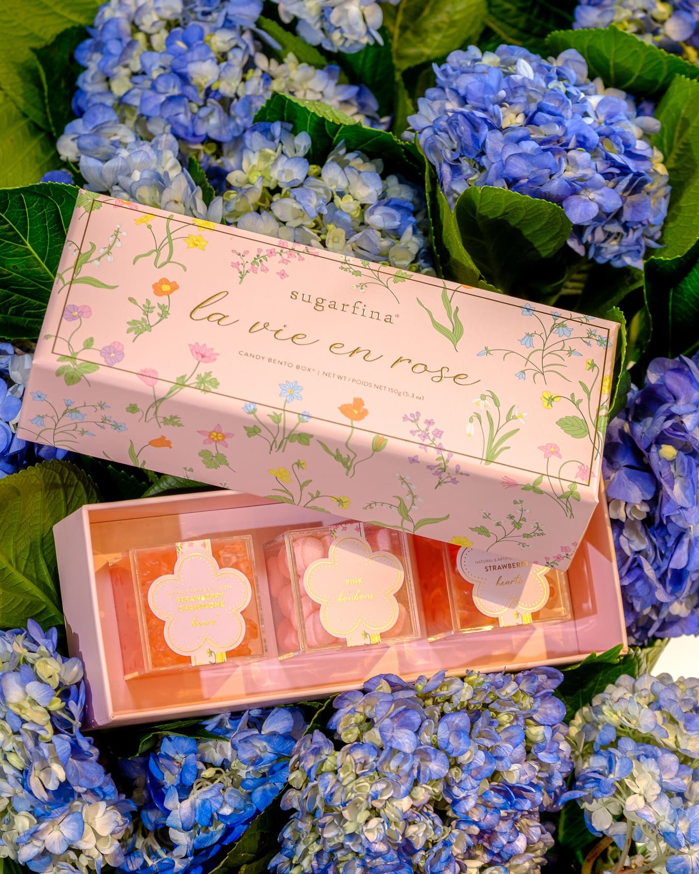 Get Mom something sweet 🍬 this Mother’s Day 🌺 Pair a @sugarfina candy bento box with your floral order and treat mom as sweet as she’s treated you.
#gvl360 #yeahthatgreenville #mothersdaygiftideas❤️💐🎁