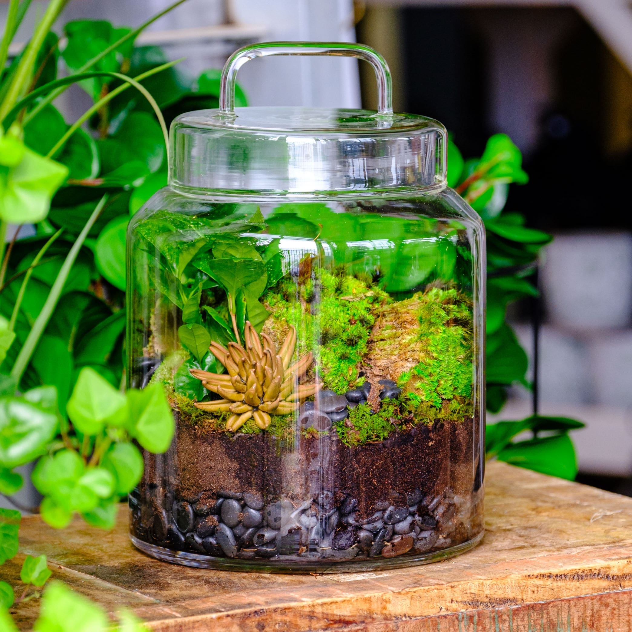 Terrarium Making Class - Twigs