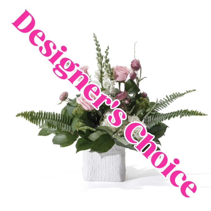 Supportive - Designer’s Choice
