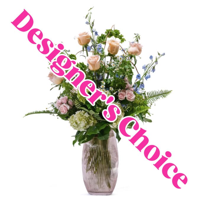 Wise - Designer’s Choice